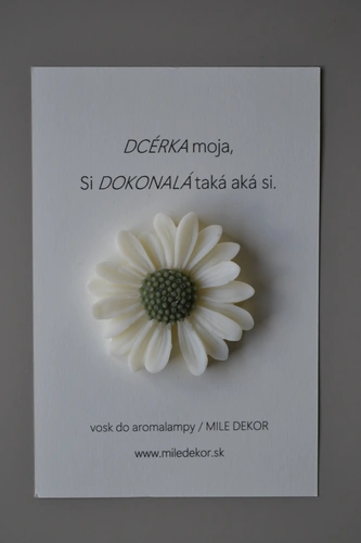 DARČEKOVÁ KARTIČKA DCÉRKA