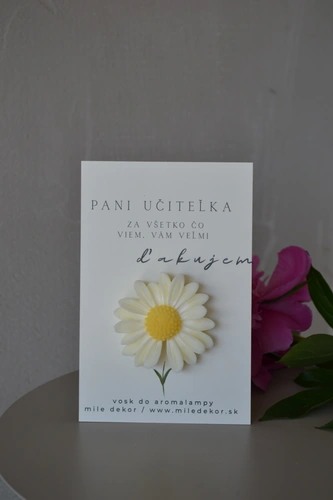 PANI UČITEĽKE