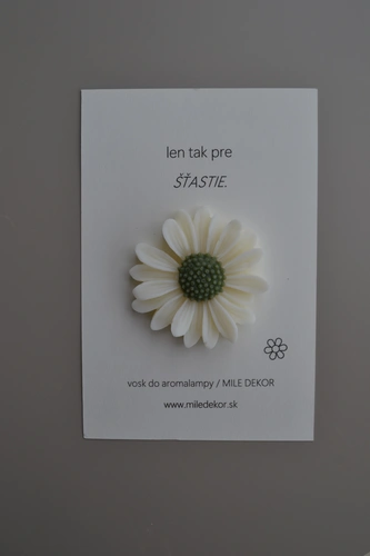 DARČEKOVÁ KARTIČKA MARGARÉTKA