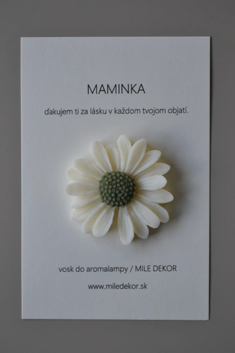 DARČEKOVÁ KARTIČKA MAMINKA